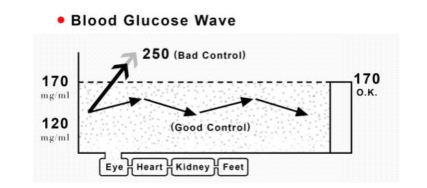Blood Glucose Wave